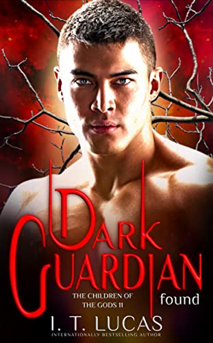 Dark Guardian Found cover
