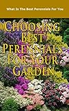 Choosing Best Perennials For Your Garden What Is The Best Perennials For You English Edition