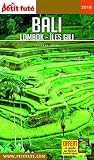 Guide Bali Lombok   %C3%AEles Gili 2018 Petit Fut%C3%A9