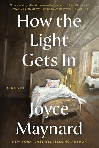How the Light Gets In book cover
