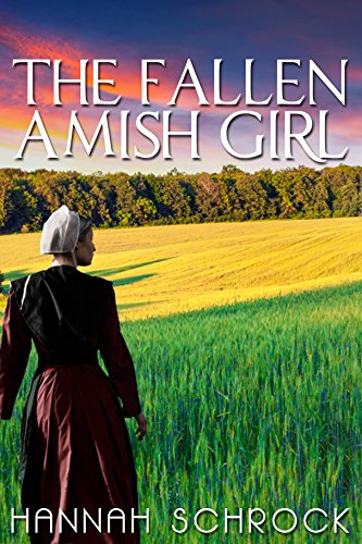 The Fallen Amish Girl book cover