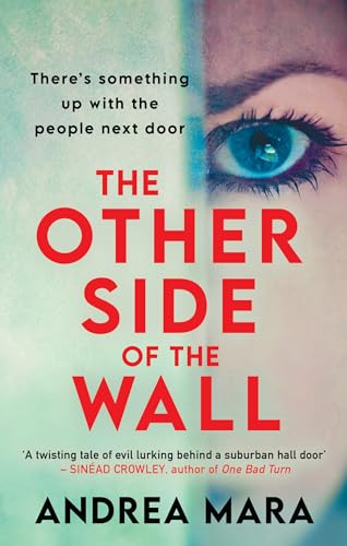 The Other Side Of The Wall book cover
