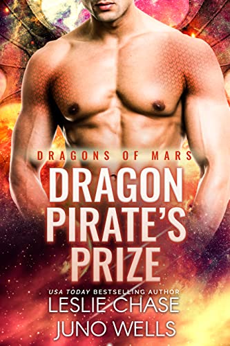 Dragon Pirate's Prize book cover