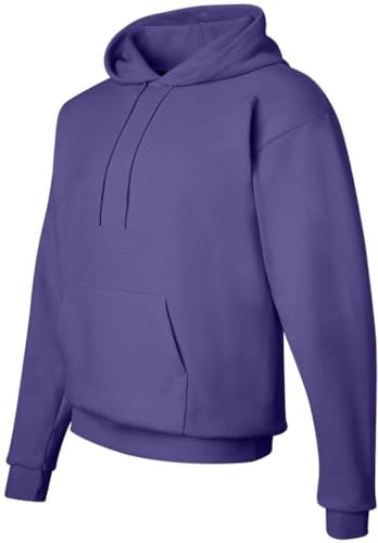 Hanes Men's Pullover EcoSmart Hooded Sweatshirt, purple, Large