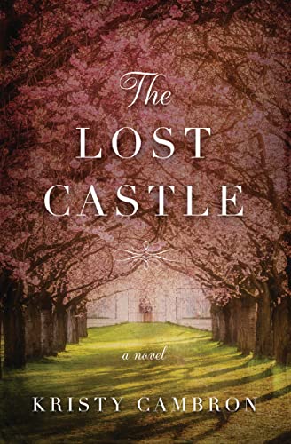 The Lost Castle book cover