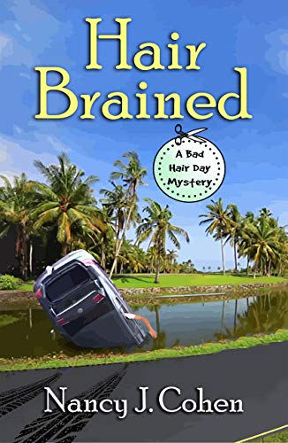Hair Brained book cover