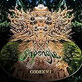Codex VI (2017)