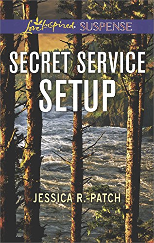 Secret Service Setup book cover