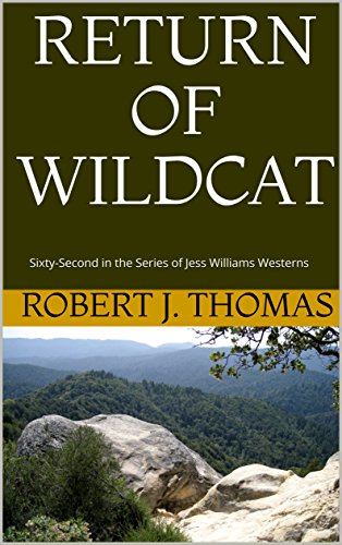 Return of Wildcat book cover