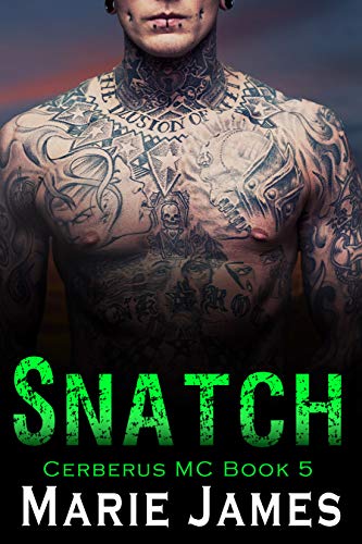 Snatch book cover
