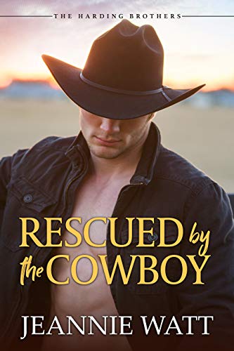 Rescued by the Cowboy / Austin (By: Jeannie Watt) cover