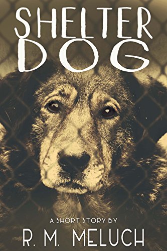 Shelter Dog book cover