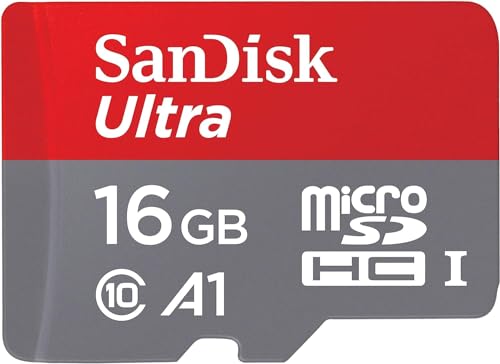 SanDisk 128GB microSDXC for Wyze