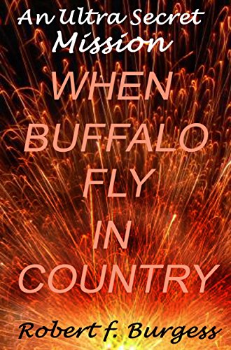 An Ultra Secret Mission cover