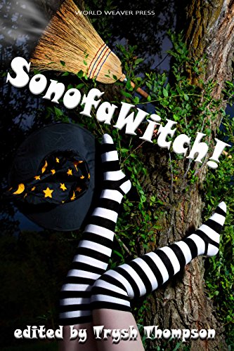 SonofaWitch! book cover