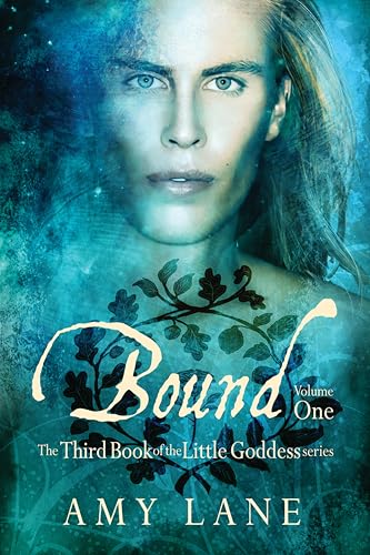 Bound, Vol. 1 book cover