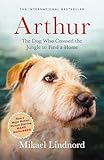 Arthur The Dog Who Crossed The Jungle To Find A Home