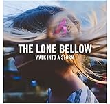 Walk Into A Storm (2017)