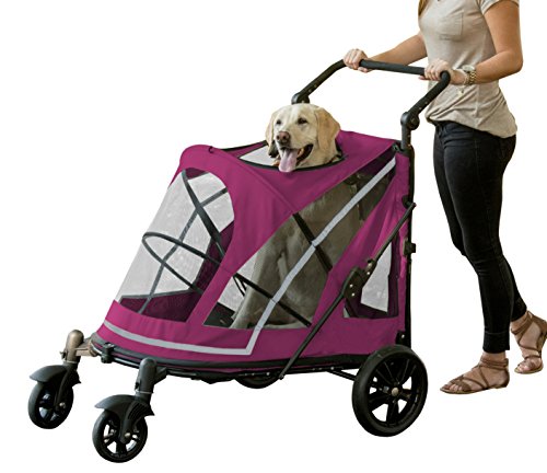 Best Dog Strollers for Senior & Disabled Dogs in 2026