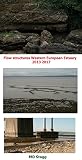 Flow Structures Western European Estuary 2013 2017