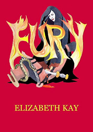Fury book cover