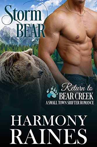 Storm Bear book cover