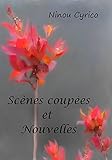 Scnes Coupes Et Nouvelles
