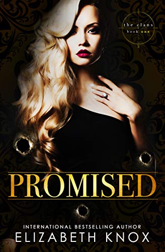 Promised book cover