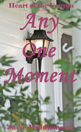 Any One Moment book cover