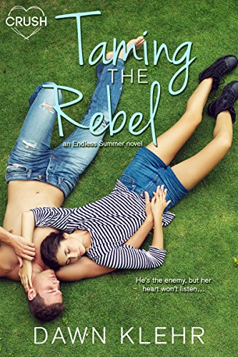 Taming the Rebel (By: Dawn Klehr) cover