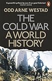 The Cold War A World History English Edition