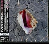Wonderful Wonderful (Deluxe Edition)