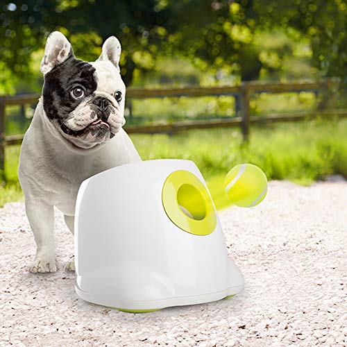 All for Paws 2.5-inch Max Automatic Ball Launcher Use