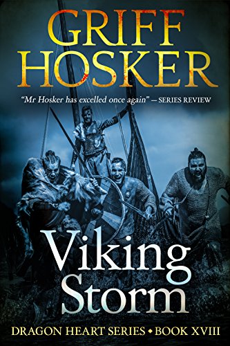 Viking Storm book cover