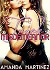 Triple Misdemeanor