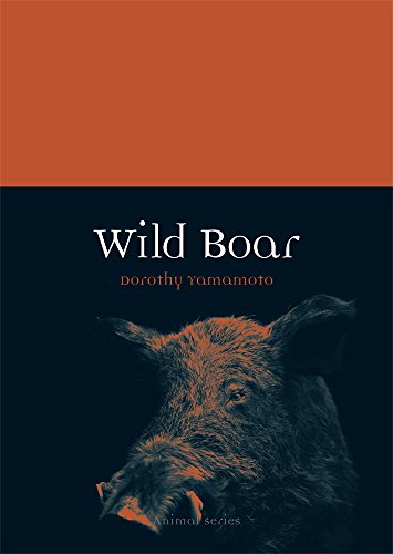 Wild Boar (By: Dorothy Yamamoto) cover
