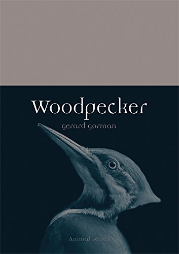 Woodpecker (By: Gerard Gorman) cover