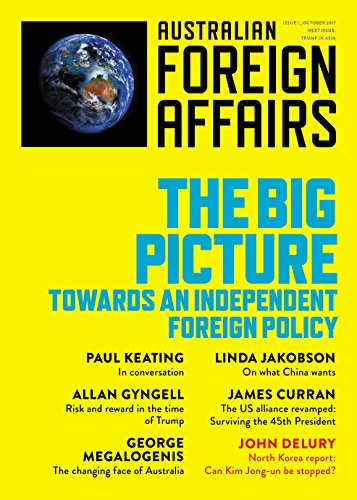 The Big Picture: Towards an Independent Foreign Policy book cover