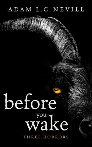 Before You Wake book cover