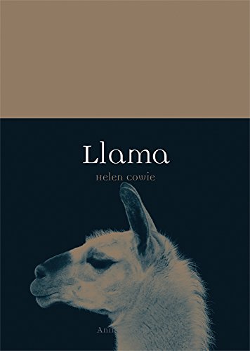 Llama book cover