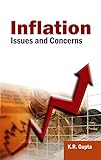 Inflation Issues And Concerns English Edition