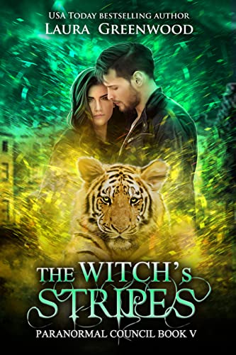 The Witch's Stripes book cover