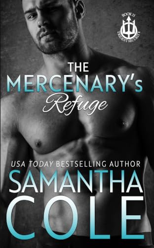 Salvaging His Soul book cover