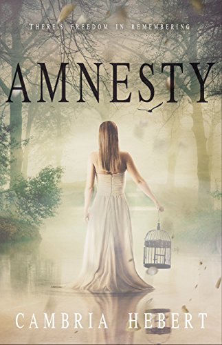 Amnesty book cover