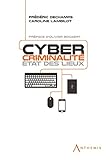 Cybercriminalit Tat Des Lieux Droit Belge Hors Collection