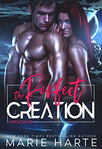 The Perfect Creation book cover