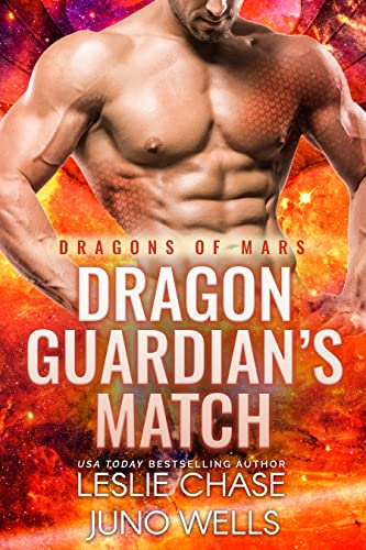 Dragon Guardian's Match book cover