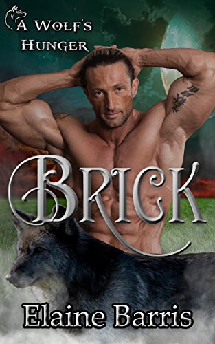 Brick book cover