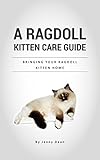 A Ragdoll Kitten Care Guide Bringing Your Ragdoll Kitten Home