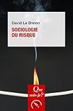 Sociologie Du Risque Que Saisje N 3016